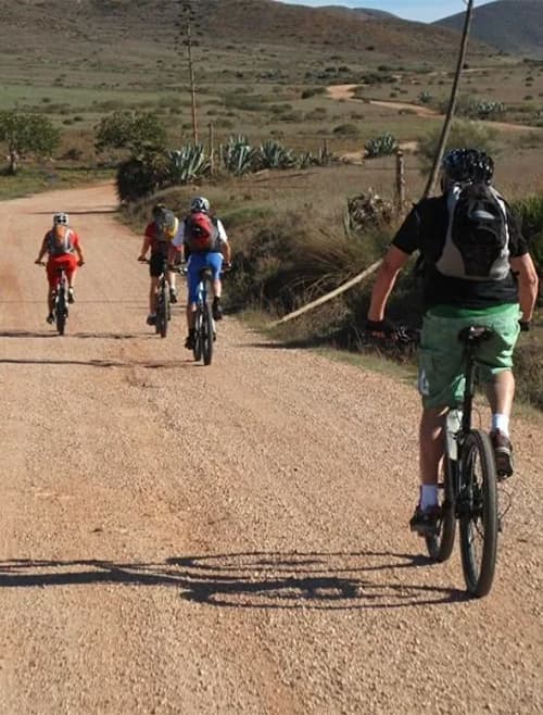 cortijo-boutique-cabo-de-gata-recuadro-experiencias-bici